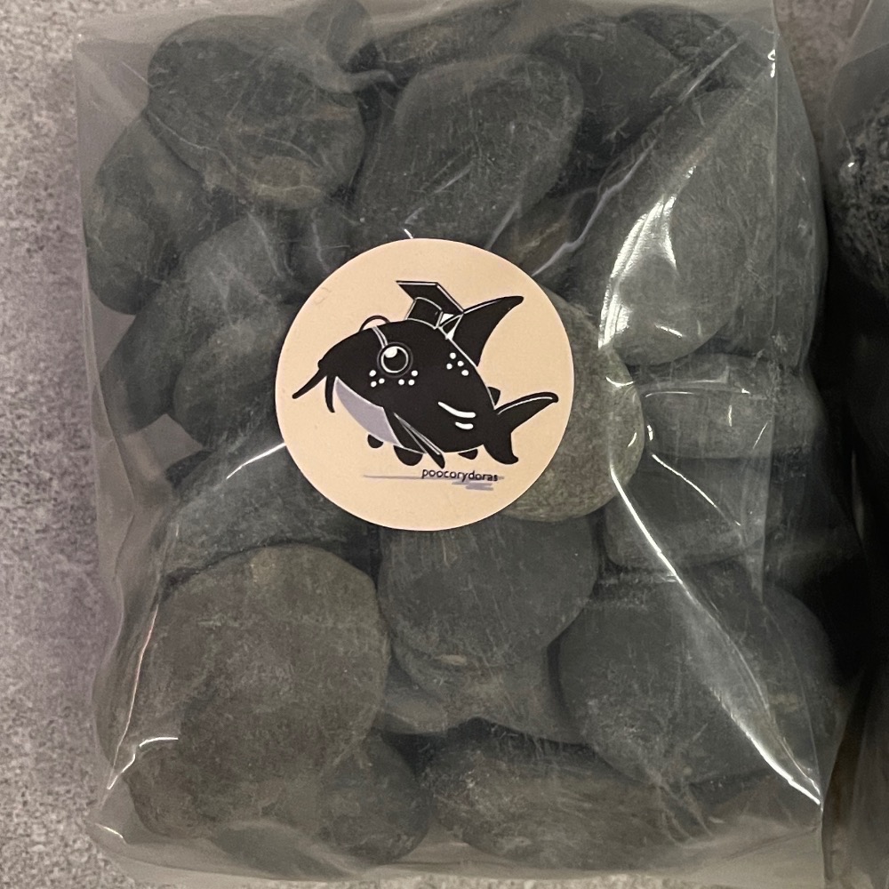 鼠博館-底沙-鼠饅頭麥飯石｜大顆河砂扁石-規格圖5