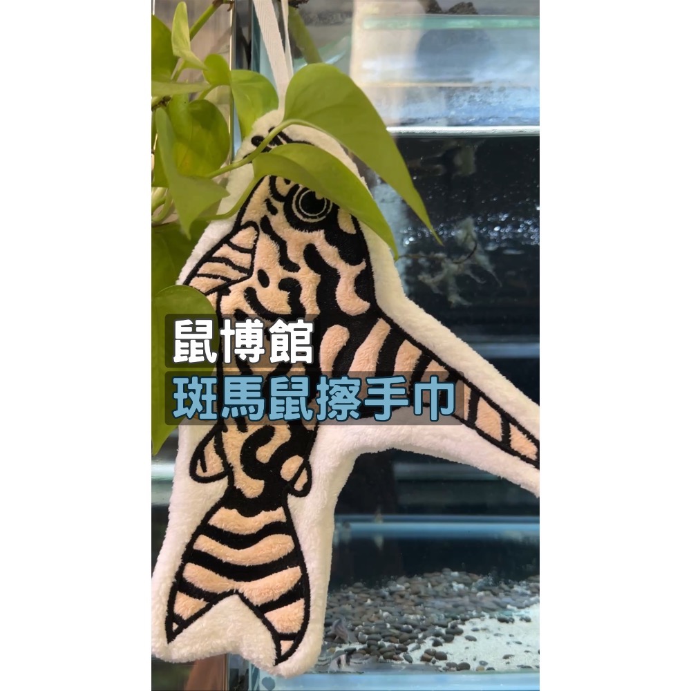鼠博館-周邊-鼠魚擦手巾/超二擦手巾/斑馬擦手巾-細節圖3