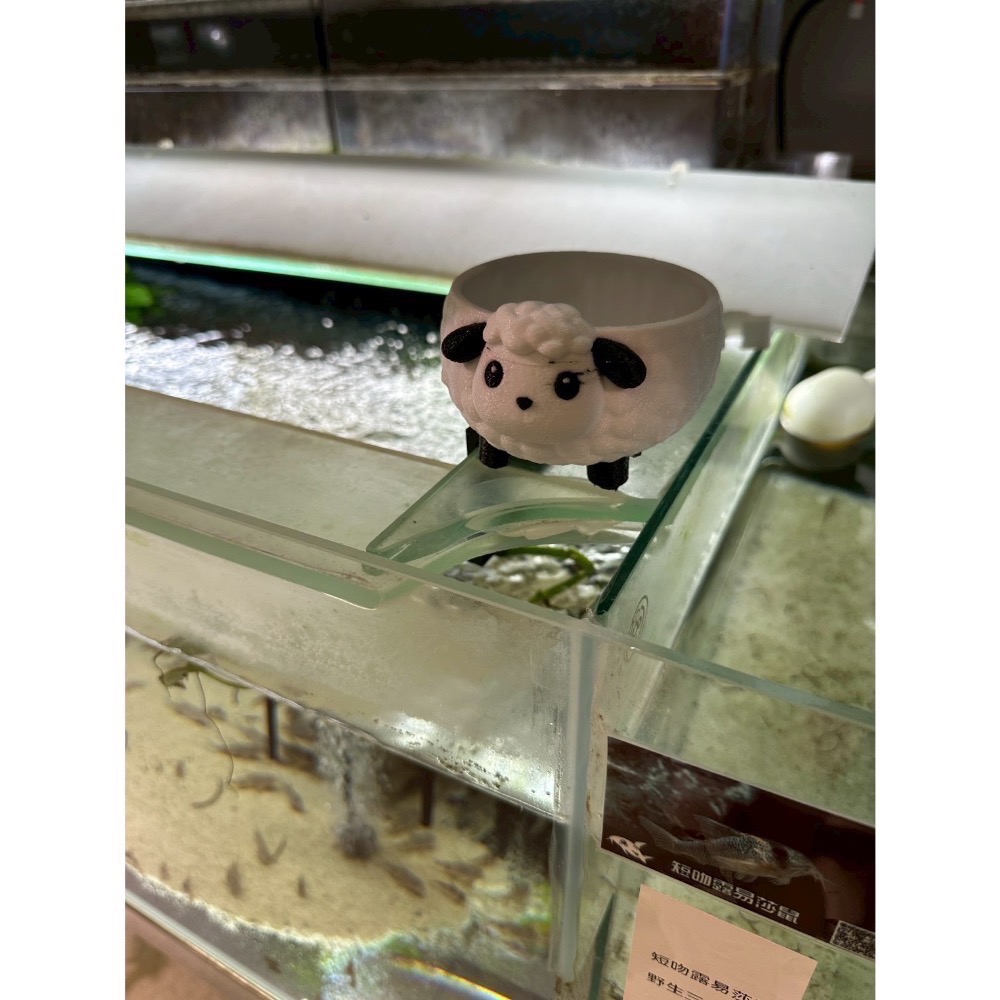 鼠博館-水草-小噴泉-規格圖4