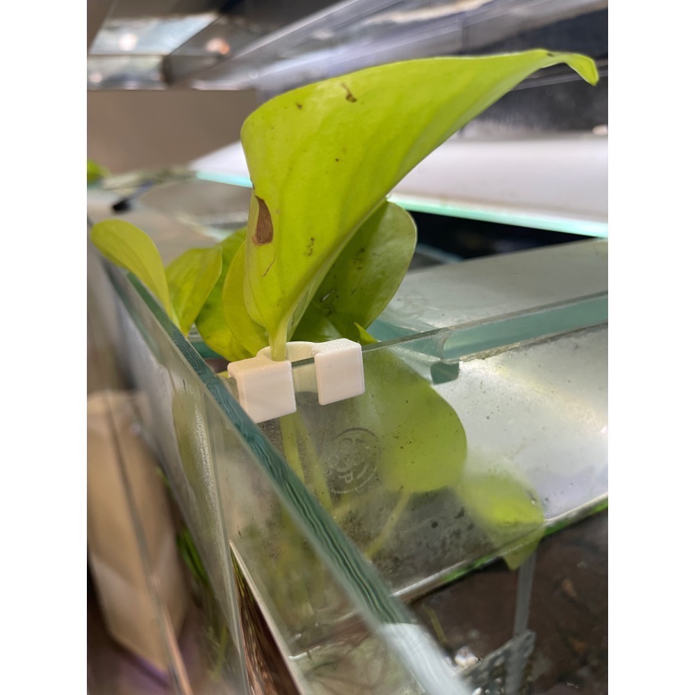 鼠博館-設備-黃金葛固定架-細節圖3