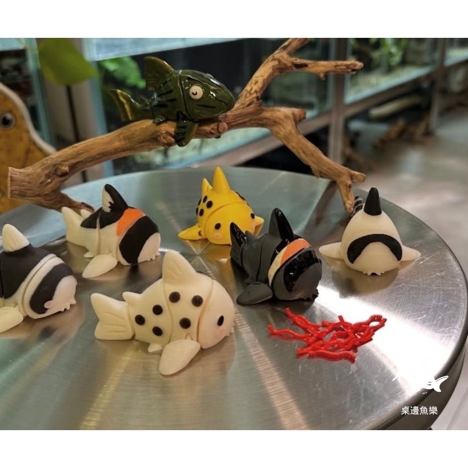 鼠博館-周邊-桌邊魚樂-鼠魚扭蛋 異型扭蛋 公仔模型-細節圖4
