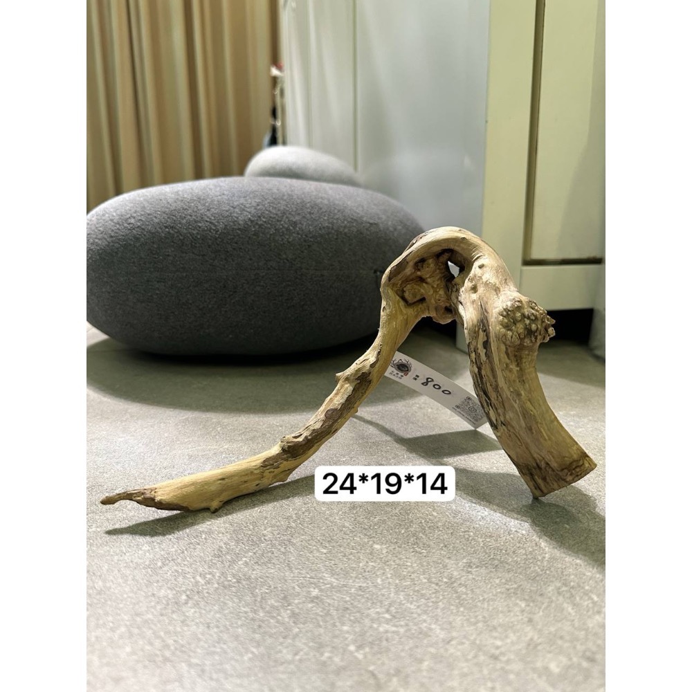 鼠博館-店內展售的老鐘七里香沈木-規格圖1