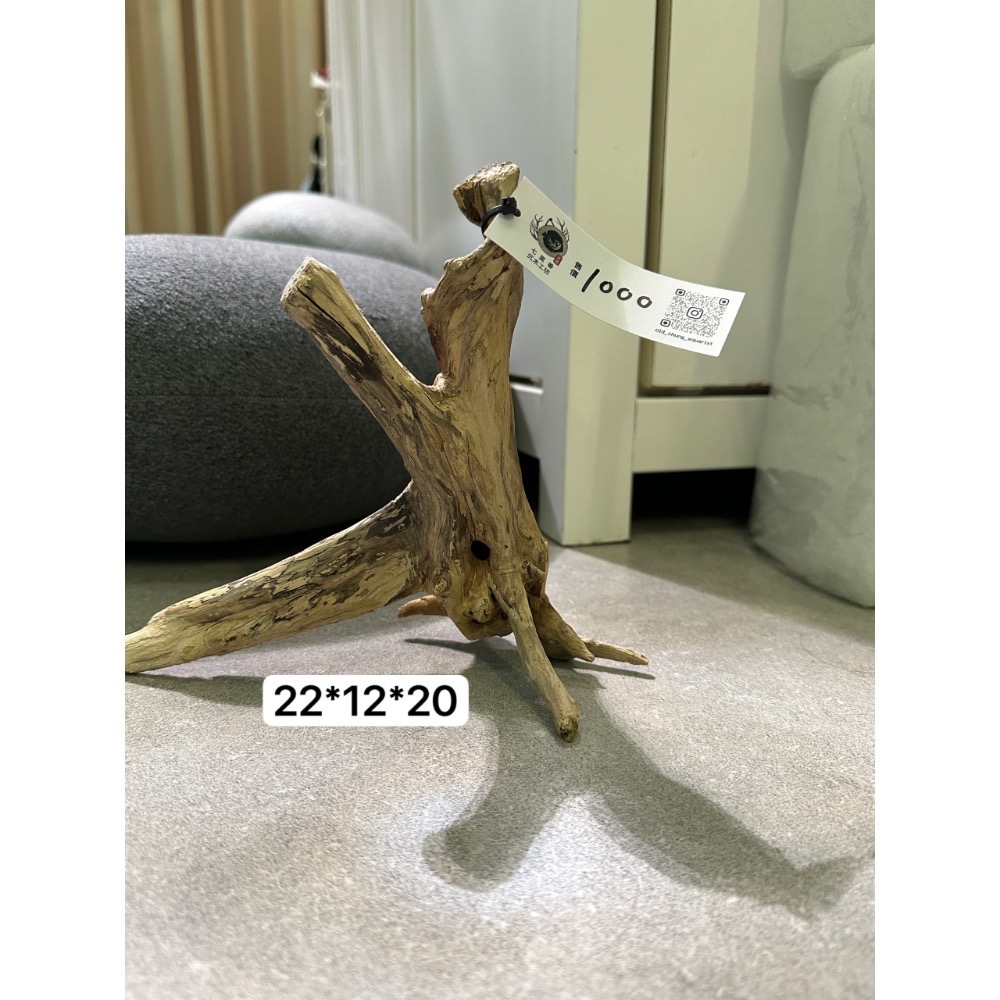 鼠博館-店內展售的老鐘七里香沈木-規格圖1