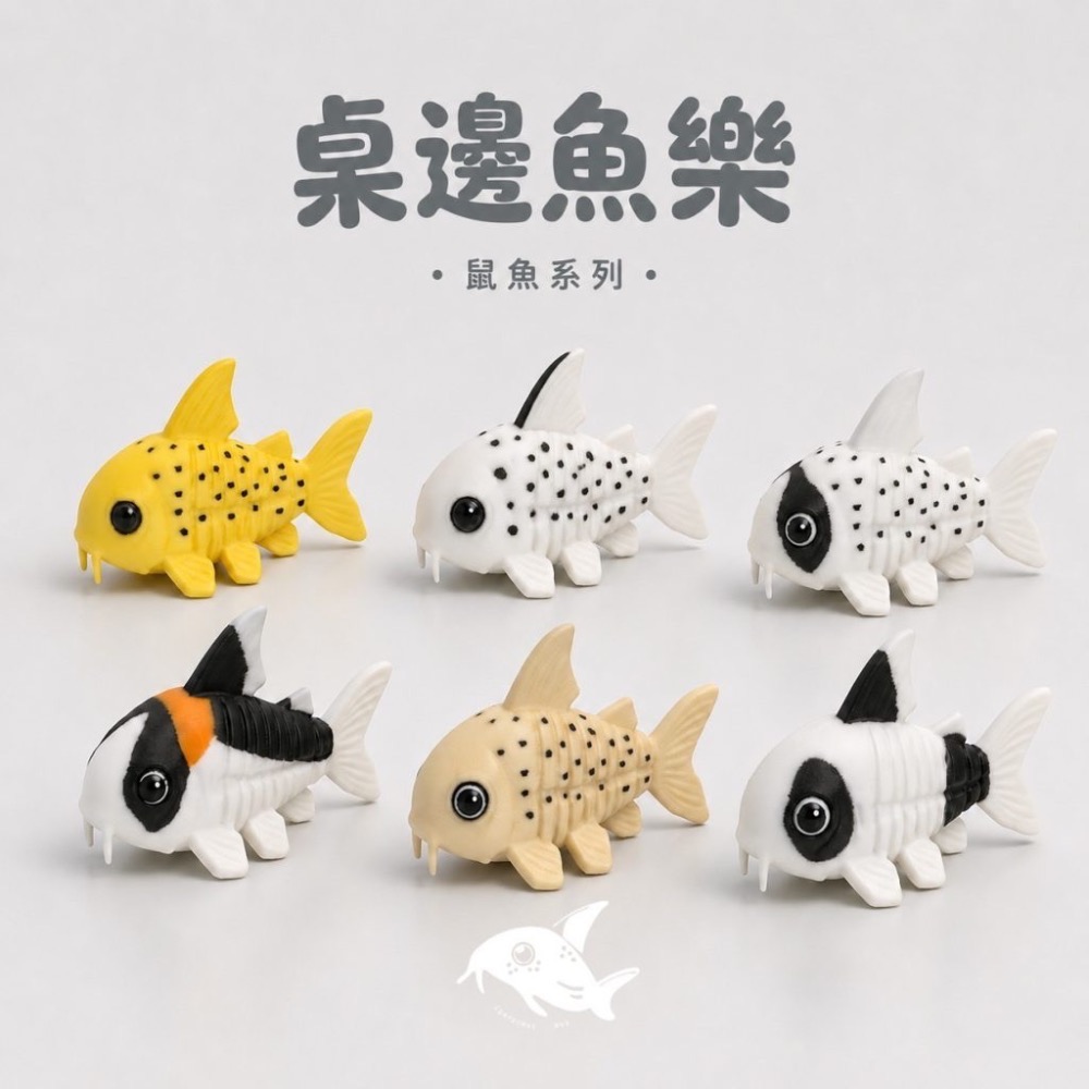 鼠博館-周邊-桌邊魚樂立體圖鑑-細節圖3