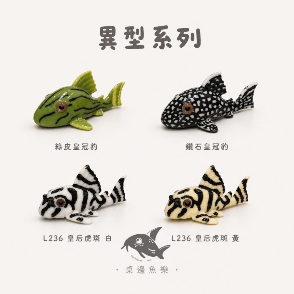 鼠博館-周邊-桌邊魚樂立體圖鑑-細節圖4
