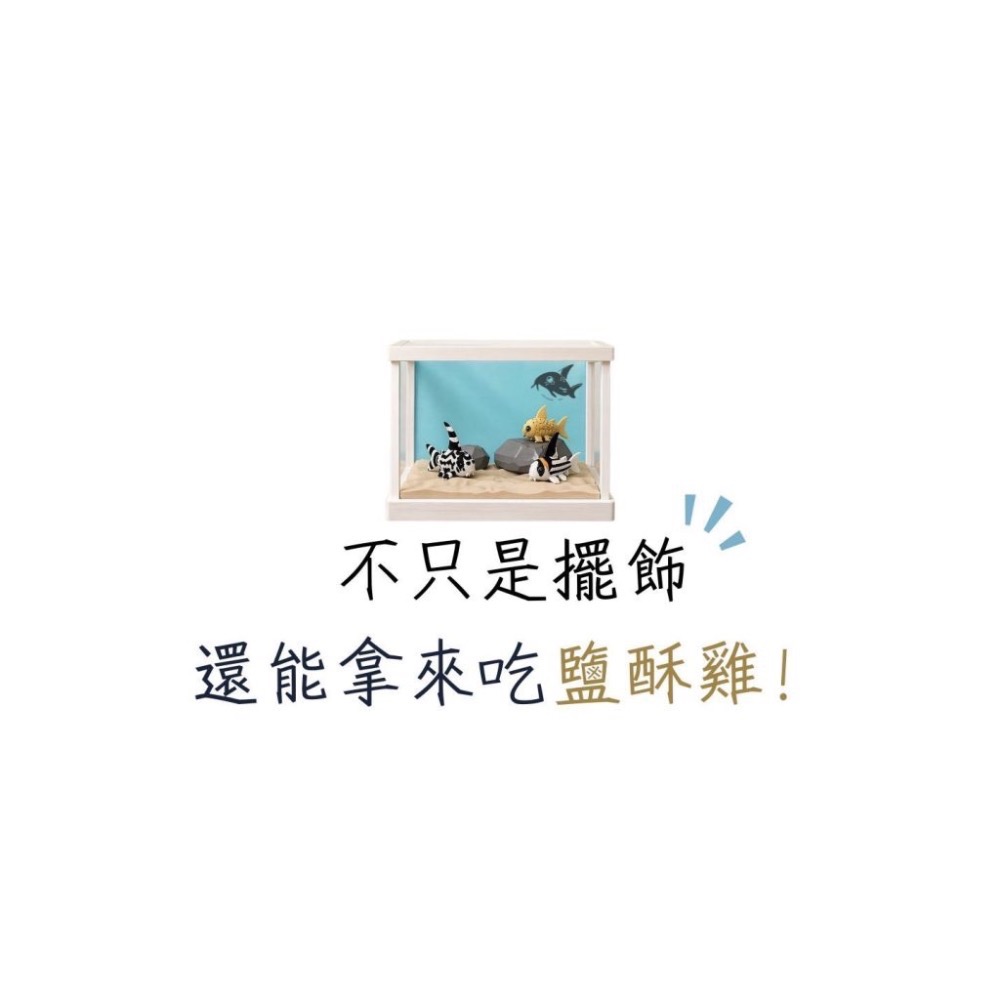 鼠博館-周邊-桌邊魚樂立體圖鑑-細節圖5