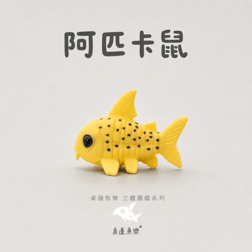鼠博館-周邊-桌邊魚樂立體圖鑑-規格圖7