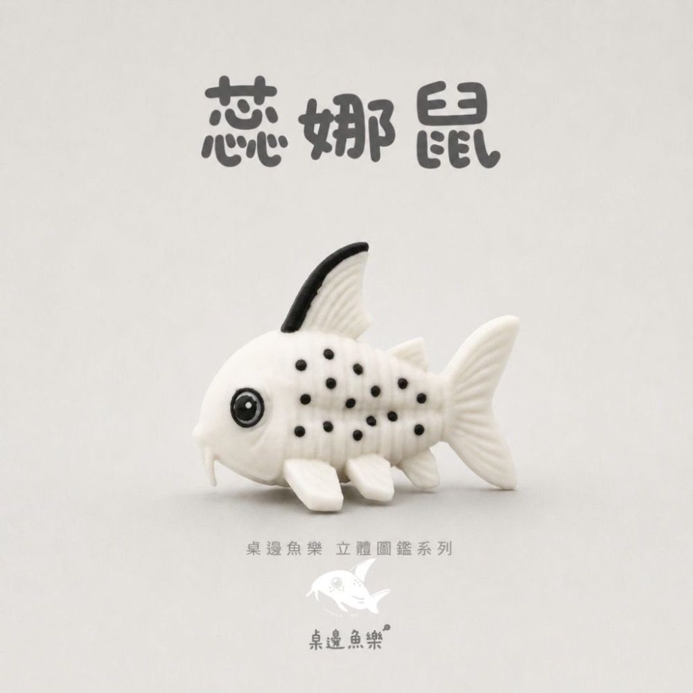 鼠博館-周邊-桌邊魚樂立體圖鑑-規格圖7