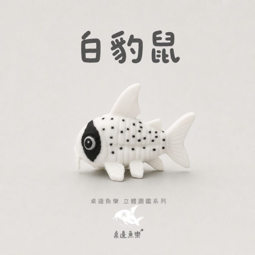 鼠博館-周邊-桌邊魚樂立體圖鑑-規格圖7