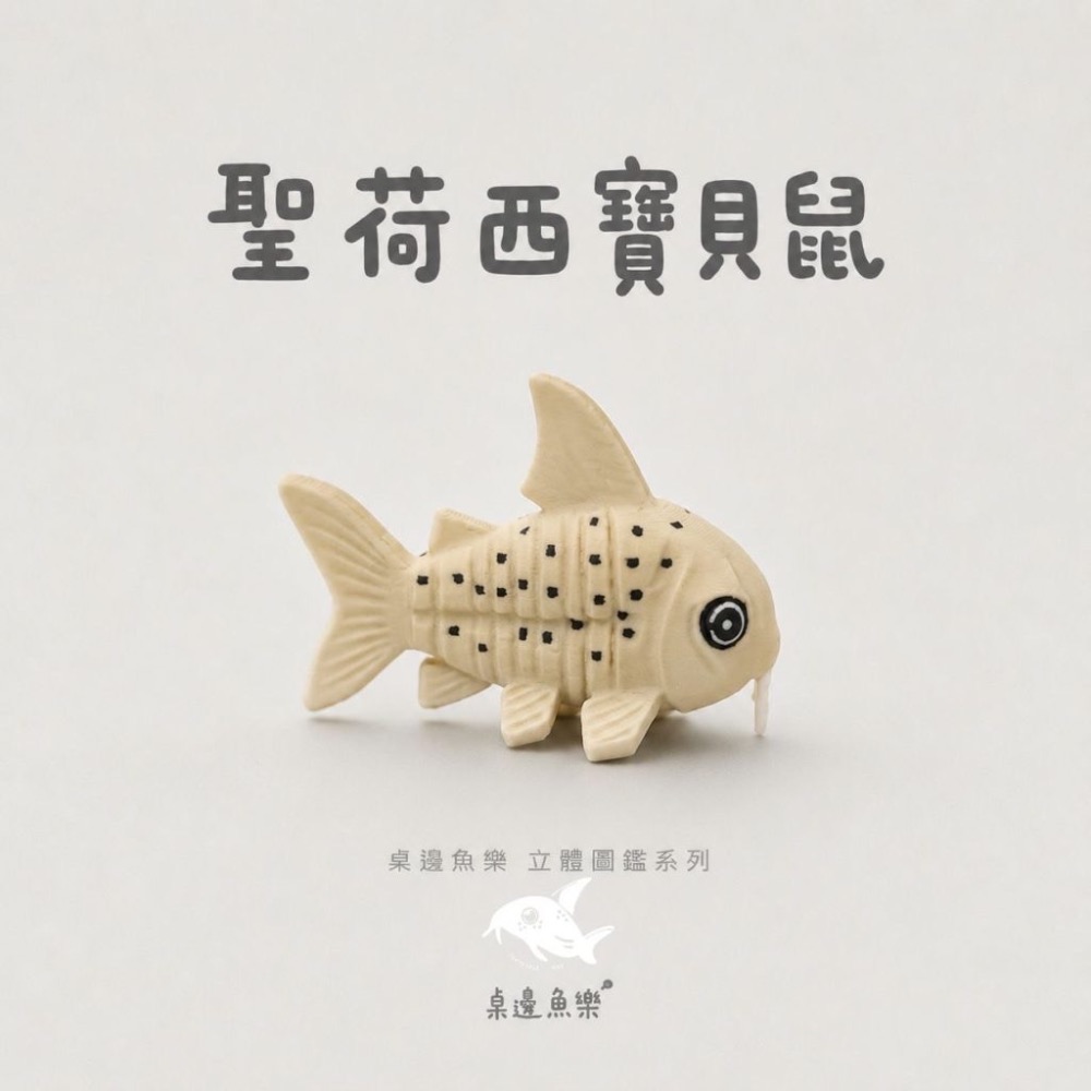 鼠博館-周邊-桌邊魚樂立體圖鑑-規格圖7
