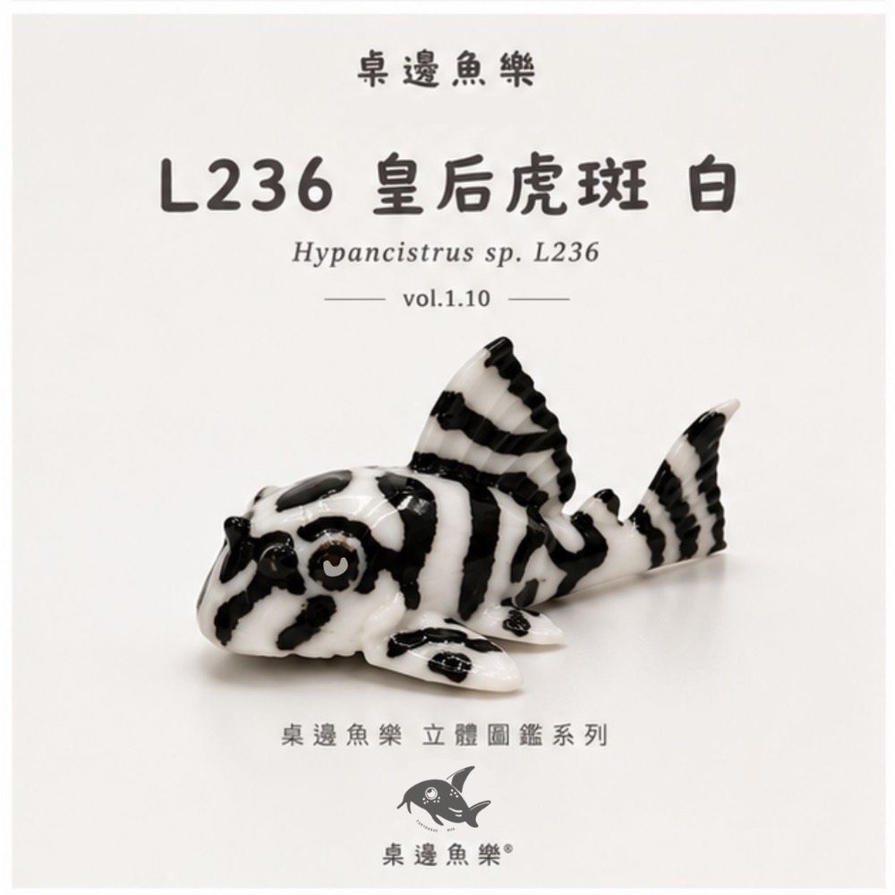鼠博館-周邊-桌邊魚樂立體圖鑑-規格圖7