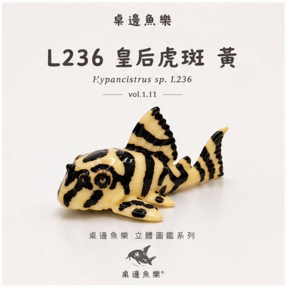 鼠博館-周邊-桌邊魚樂立體圖鑑-規格圖7