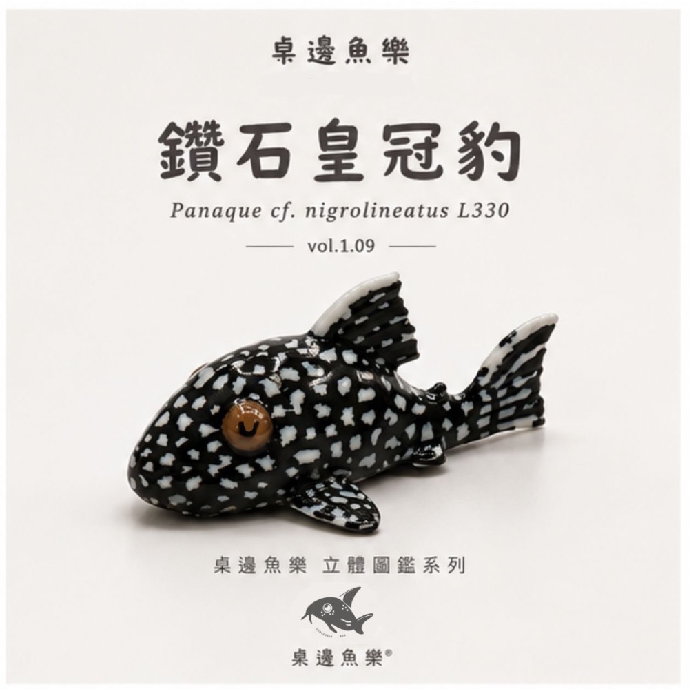 鑽石皇冠豹