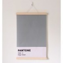 pantone7494