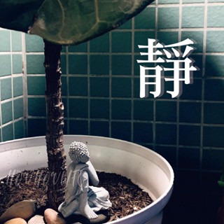 【24小時出貨】日式禪意小擺件/沉思佛小坐佛擺件/禪風擺件/水缸茶盤擺件/民宿店家植栽擺件/特色交換禮物/微景觀擺件-細節圖4