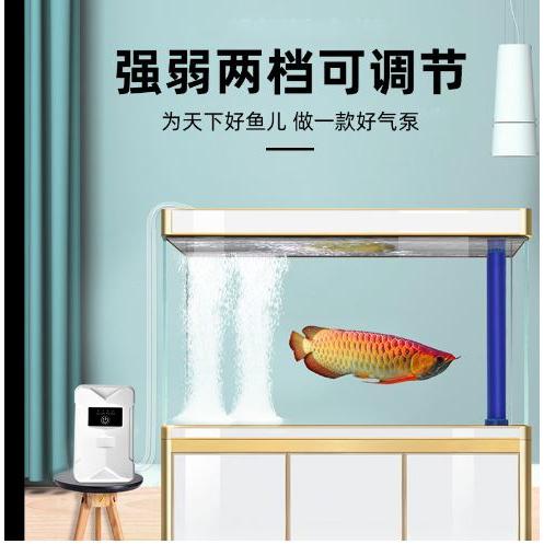 ☆四月科技能源☆新款氧氣泵家用魚缸usb充電增氧泵兩用電池便攜釣魚靜音打氧泵A0096-9-細節圖2