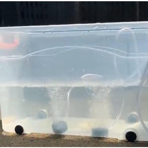 ☆四月科技能源☆魚池太陽能氣泵戶外無電增氧泵小型塘養魚魚缸增氧機養殖專業打氣(直驅)A0096-6-細節圖4