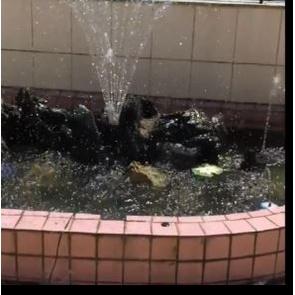 ☆四月科技能源☆JT880帶蓄電池充電太陽能噴泉室外花園景觀噴泉 太陽能水泵帶LED燈噴泉-細節圖9