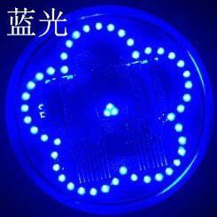 ☆四月科技能源☆新款光控太陽能燈 太陽能48LED花型地埋燈草坪燈花園燈A0321-3-細節圖3