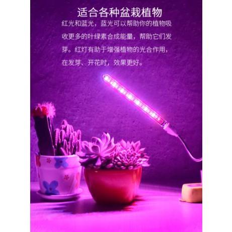 🍀四月科技能源🍀可太陽能 新款USB led植物燈生長燈室內補光燈花卉盆栽燈多肉檯燈-細節圖7