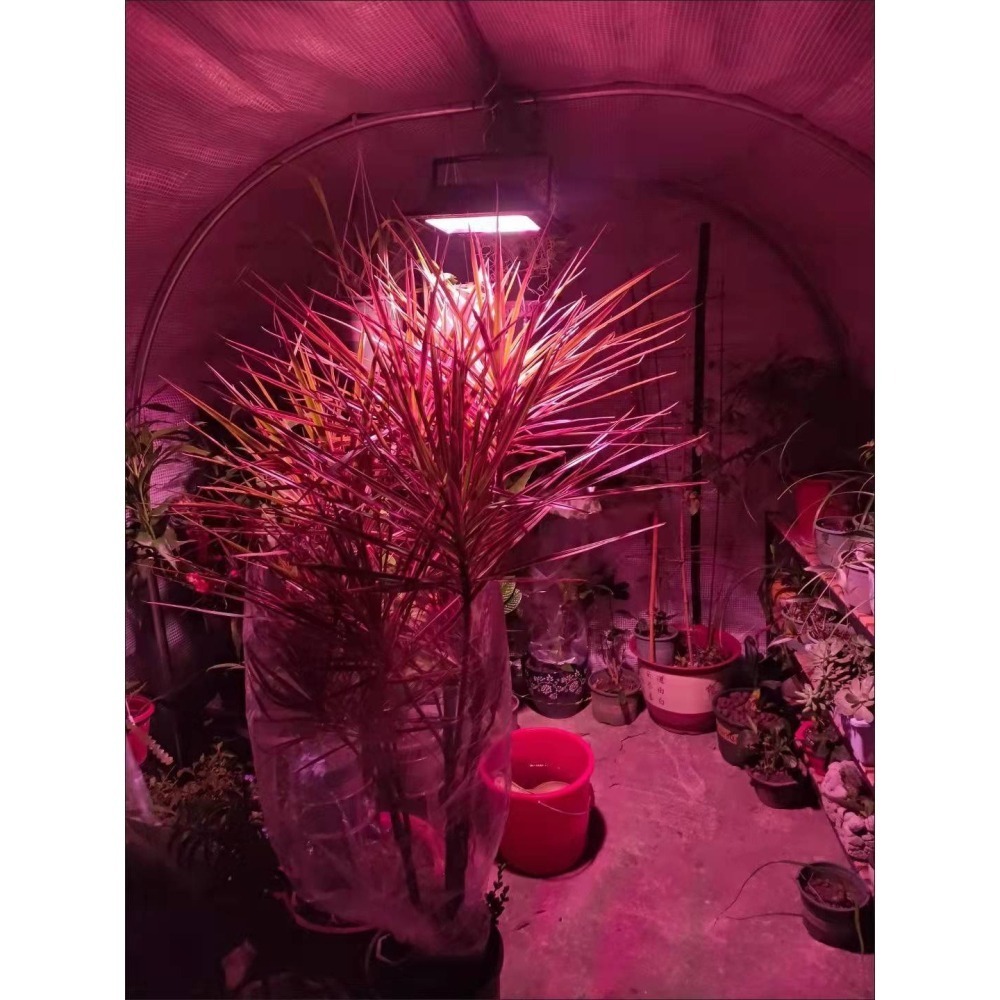 ☆四月科技能源☆光控太陽能高功率led植物生長燈植物補光花卉蔬菜仿太陽光 戶外全光譜A0021[010-3]-細節圖3