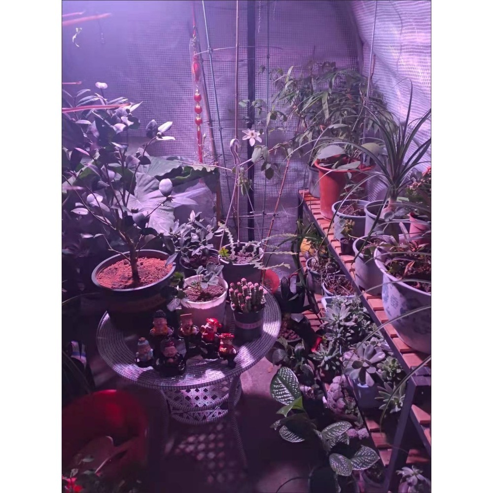☆四月科技能源☆光控太陽能高功率led植物生長燈植物補光花卉蔬菜仿太陽光 戶外全光譜A0021[010-3]-細節圖4