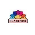 4/13出貨 日本 BLACKPINK x 村上隆 聯名 粉絲周邊週邊 服飾 提袋 鑰匙圈 抱枕 花朵 手提袋 托特包-規格圖9