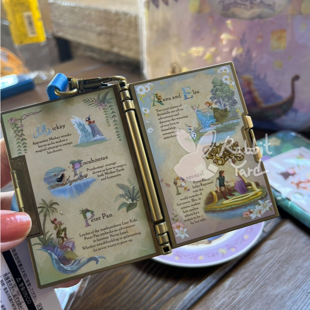 台灣現貨秒出 東京迪士尼海洋 Disney 夢泉谷 夢幻泉鄉 冰雪奇緣 魔髮奇緣 小飛俠 糖果盒 罐 書本 收納 吊飾-細節圖2