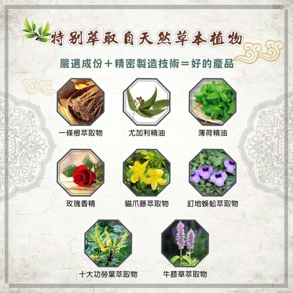 【ASIAGOGO亞洲購】一條根精油貼布 10片/包X1包-細節圖4