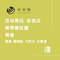 冰東咖半磅 ｜【淺焙】 瓜地馬拉  安提瓜 美蒂娜莊園 黑蜜