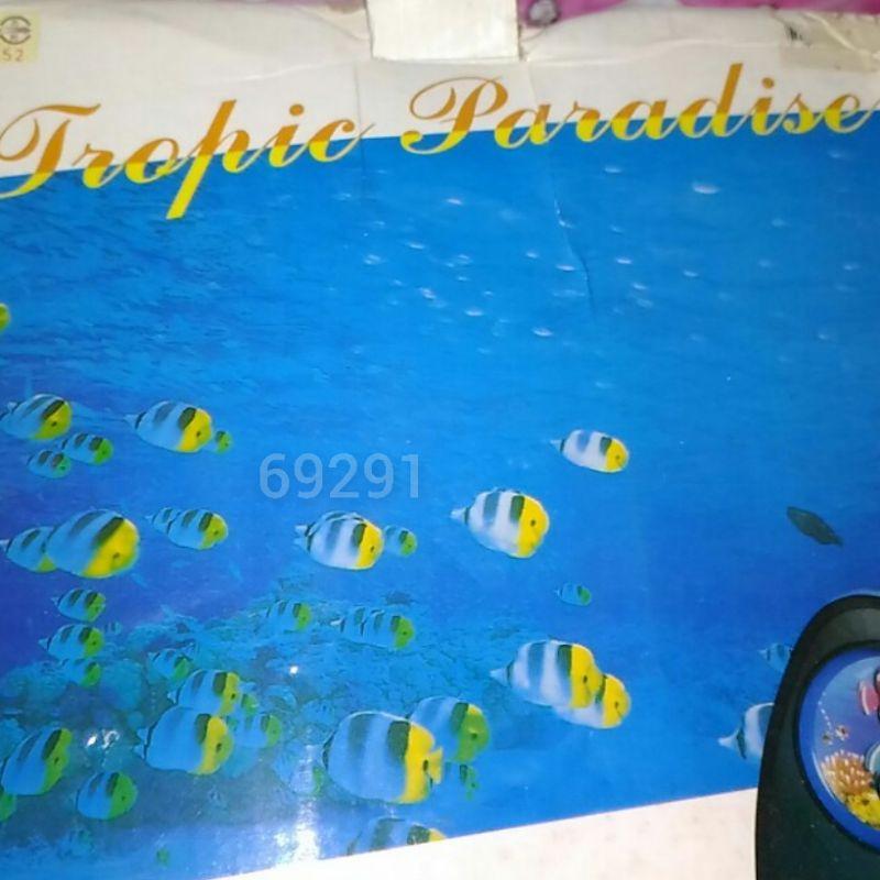 售1399元~會動的假魚，活動假魚，風水擺飾，風水水族箱，水族箱，電動水族箱，仿真魚，假魚，擺飾~風水擺飾，可旺財位-細節圖4