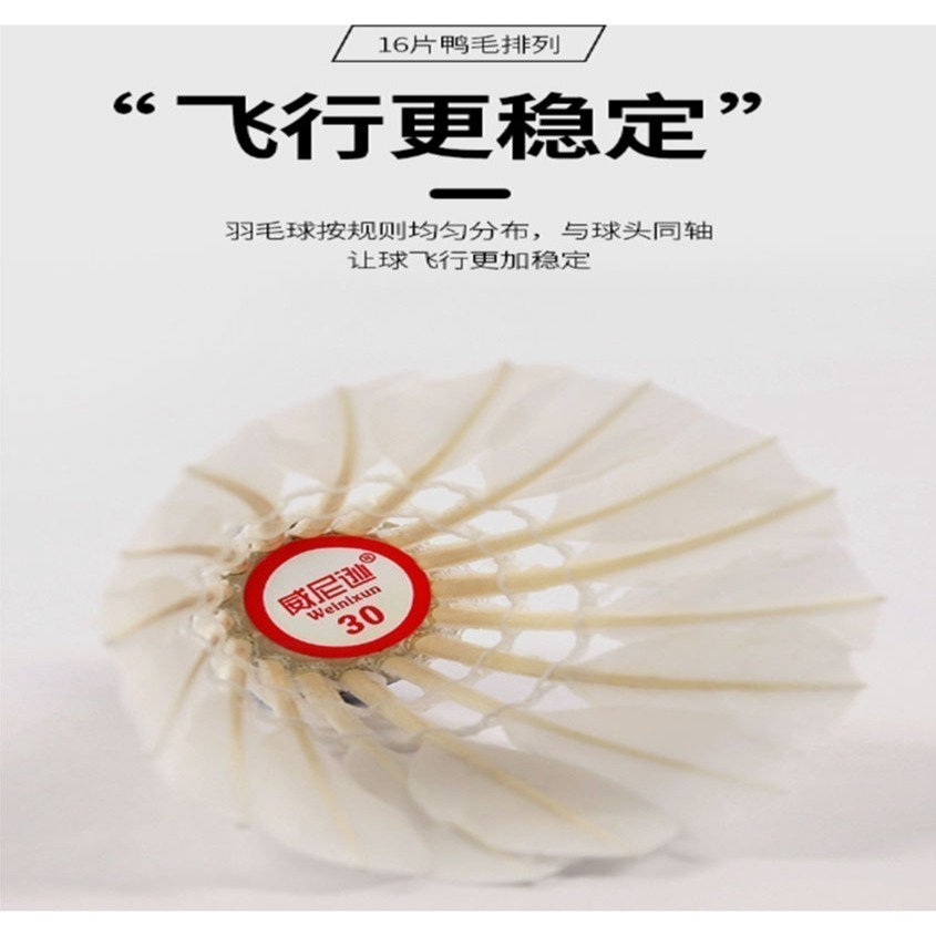 ~子甄彣璟~羽毛球 12只裝 飛行穩定 娛樂訓練球 訓練用球 耐打不易爛 鴨毛球 軟木球 練習 羽球-細節圖6