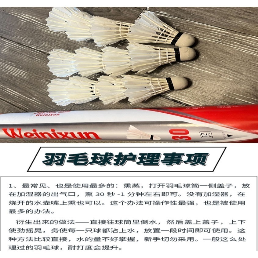 ~子甄彣璟~羽毛球 12只裝 飛行穩定 娛樂訓練球 訓練用球 耐打不易爛 鴨毛球 軟木球 練習 羽球-細節圖9