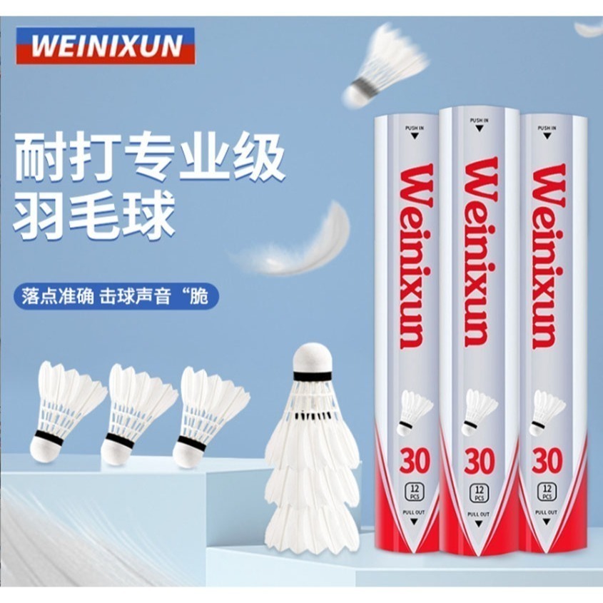 ~子甄彣璟~羽毛球 12只裝 飛行穩定 娛樂訓練球 訓練用球 耐打不易爛 鴨毛球 軟木球 練習 羽球-細節圖11