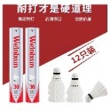 ~子甄彣璟~羽毛球拍 成人2支1袋 耐打型 羽毛球 戶外運動 家庭休閑 學生 初級入門-規格圖9