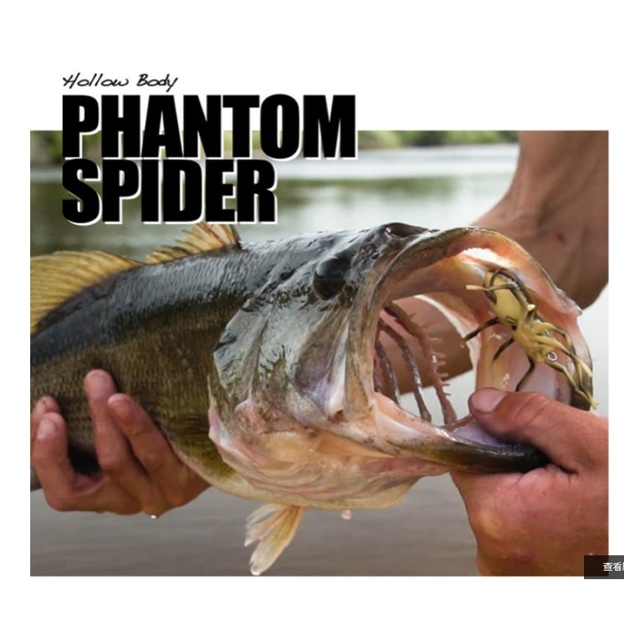 ~子甄彣璟~西子 美國浪刻蜘蛛 逼真感十足 仿真擬餌 魚餌 昆蟲 路亞餌 假餌 誘餌 仿生餌 專制翹嘴-細節圖3