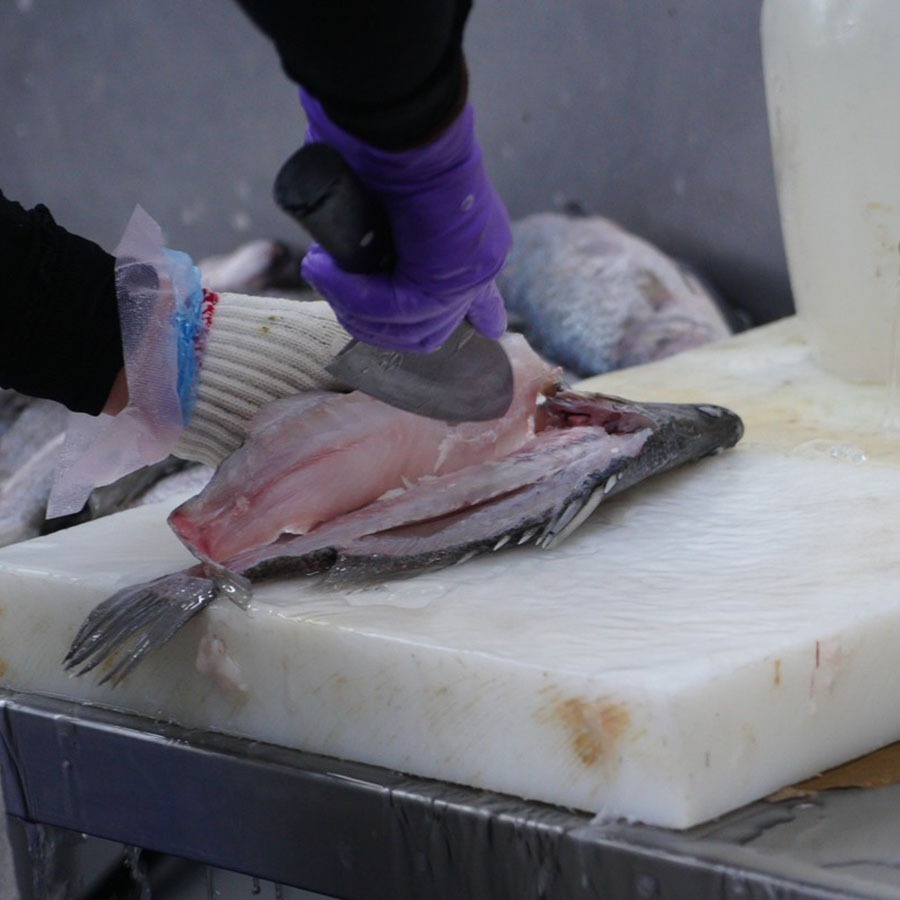 ~子甄彣璟~金目鱸魚 滿1500元 免運 帶皮鱸魚片 100-400g 去刺 鱸魚片 鱸魚 清肉 鱸魚排 高蛋白 脂肪低-細節圖2