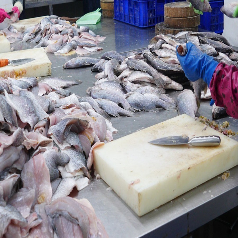 ~子甄彣璟~金目鱸魚 滿1500元 免運 帶皮鱸魚片 100-400g 去刺 鱸魚片 鱸魚 清肉 鱸魚排 高蛋白 脂肪低-細節圖4