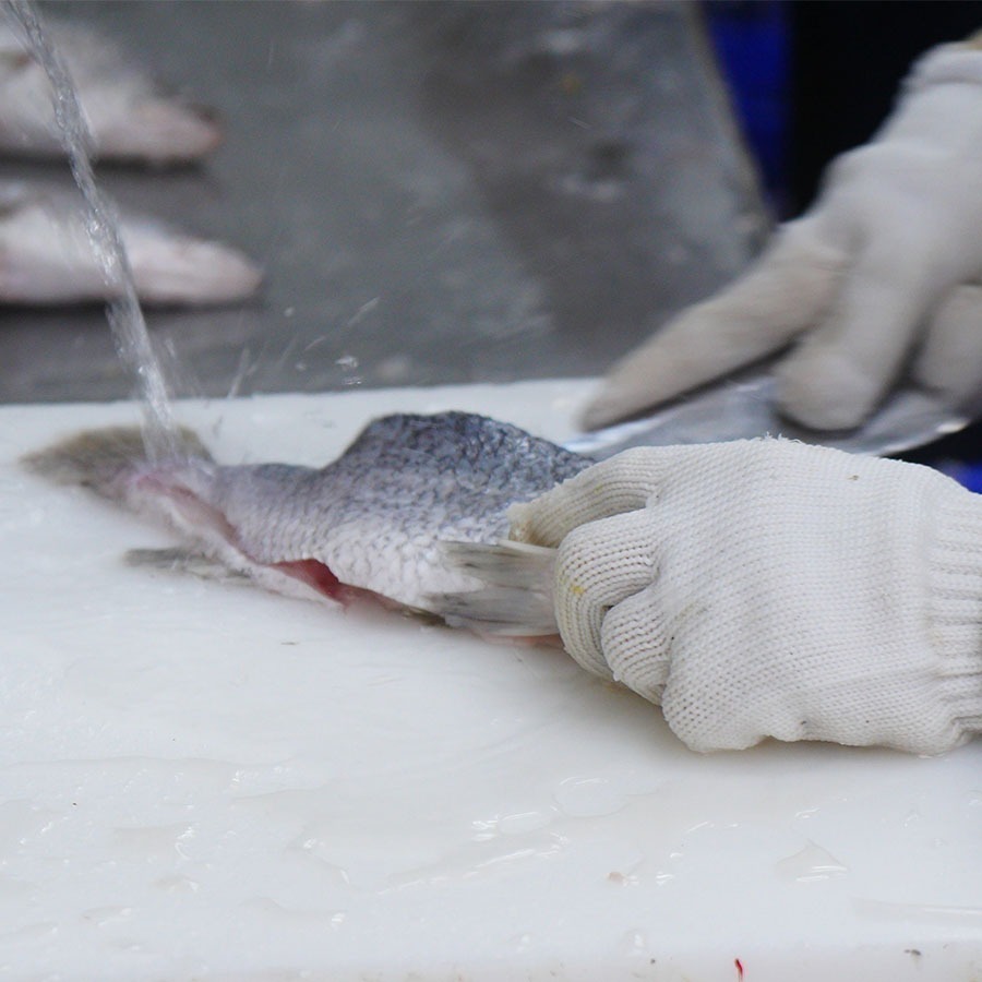 ~子甄彣璟~金目鱸魚 滿1500元 免運 帶皮鱸魚片 100-400g 去刺 鱸魚片 鱸魚 清肉 鱸魚排 高蛋白 脂肪低-細節圖5