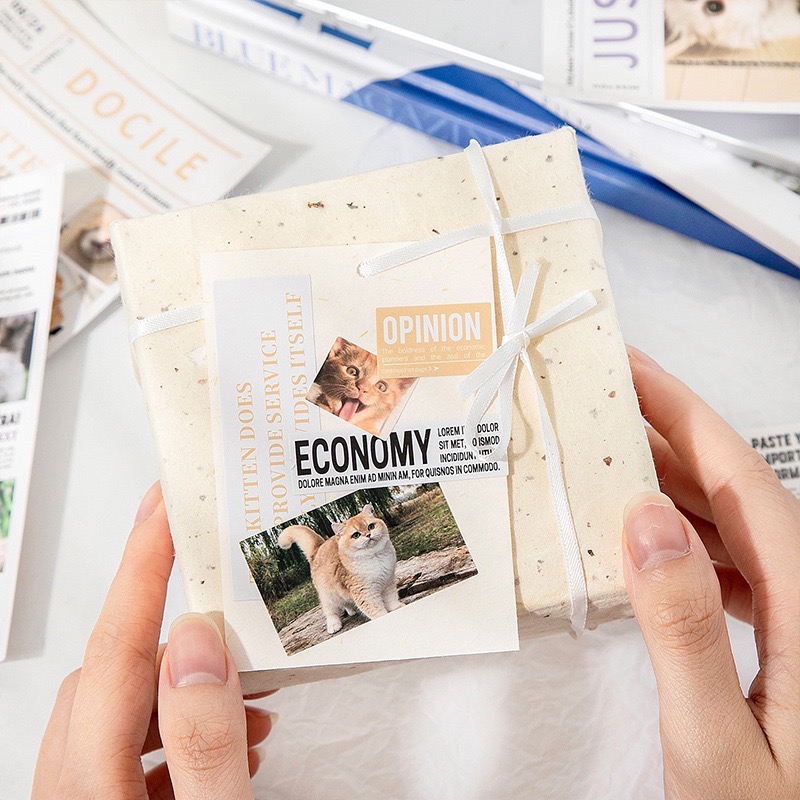 現貨 新品 貓貓畫刊系列 創意高顏值打底 拍照道具 手帳文具 美好的一天-細節圖2