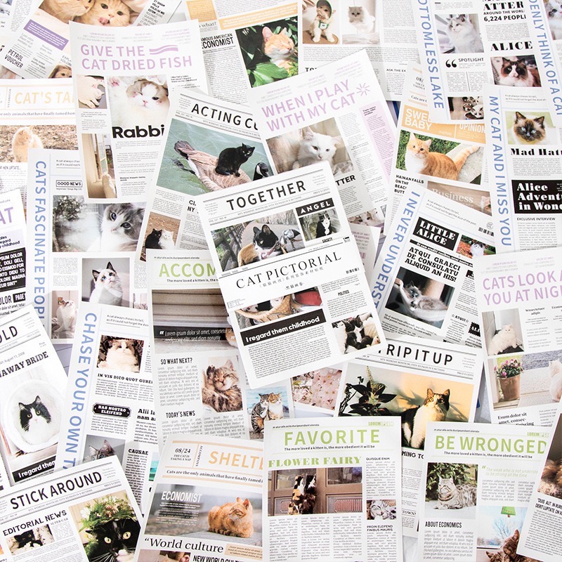 現貨 新品 貓貓畫刊系列 創意高顏值打底 拍照道具 手帳文具 美好的一天-細節圖3