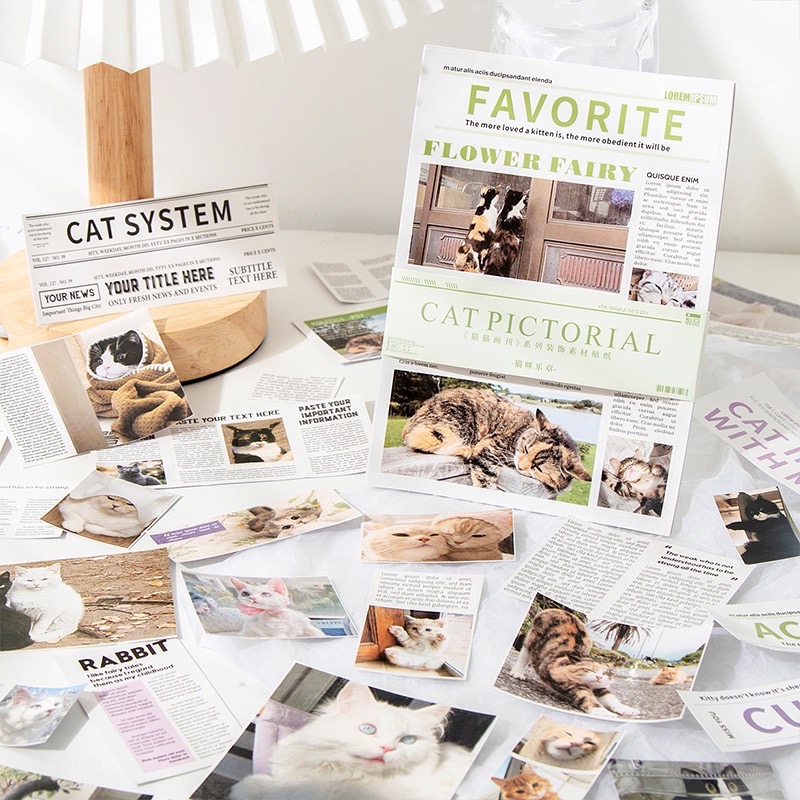 現貨 新品 貓貓畫刊系列 創意高顏值打底 拍照道具 手帳文具 美好的一天-細節圖5