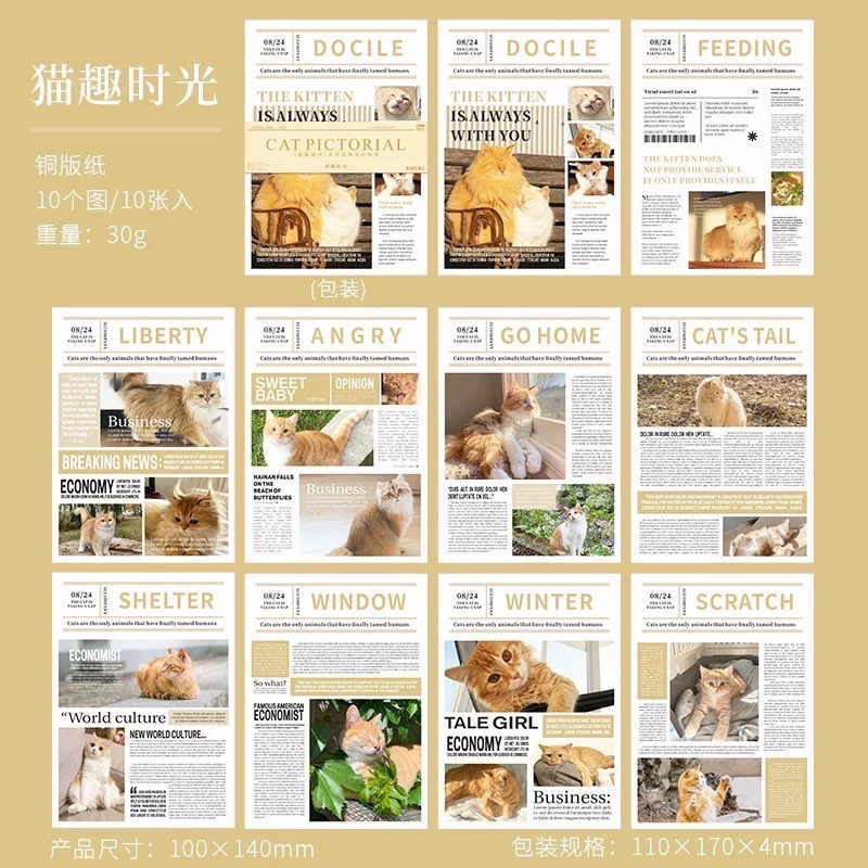 現貨 新品 貓貓畫刊系列 創意高顏值打底 拍照道具 手帳文具 美好的一天-細節圖9