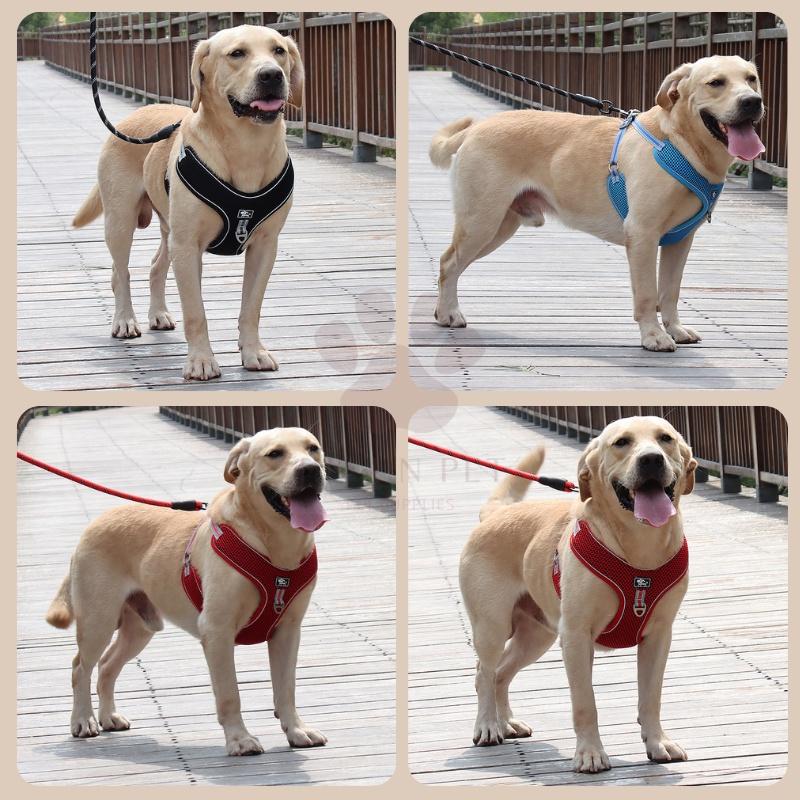 🎉現貨+送牽繩🎉狗狗胸背帶 胸背帶 寵物胸背帶 狗背帶  胸背帶中型犬 大型犬胸背帶 寵物牽繩 牽繩 防暴衝 狗繩-細節圖2