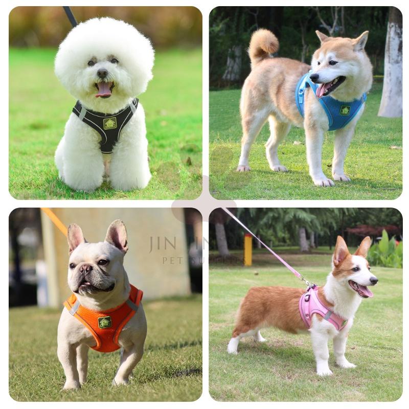 🎉現貨+送牽繩🎉寵物胸背帶 狗狗胸背帶 貓胸背帶 小型犬胸背帶 防掙脫 貓咪狗狗牽引繩 遛貓繩 牽繩 透氣 夜間反光-細節圖4