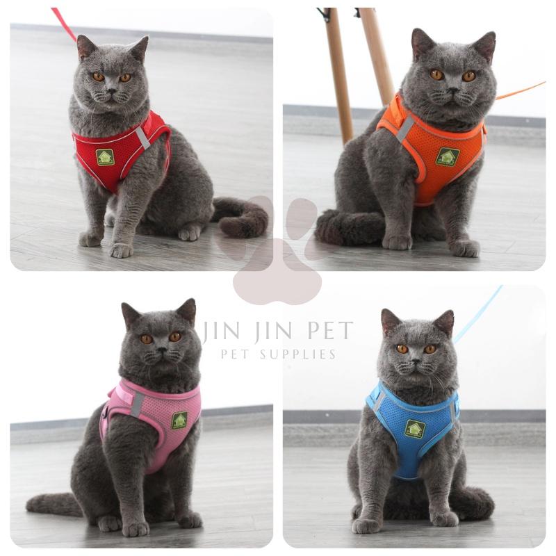 🎉現貨+送牽繩🎉寵物胸背帶 狗狗胸背帶 貓胸背帶 小型犬胸背帶 防掙脫 貓咪狗狗牽引繩 遛貓繩 牽繩 透氣 夜間反光-細節圖5