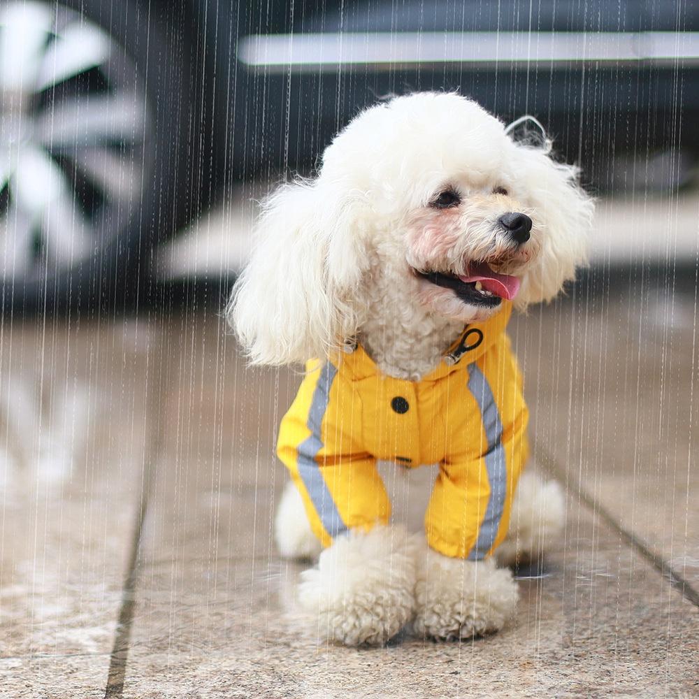 🎉現貨快速出貨🎉 寵物雨衣 寵物反光雨衣 小狗雨衣 四腳全包 寵物外出 狗雨衣 小型犬 防水 貴賓 馬爾濟斯 雪納瑞-細節圖3