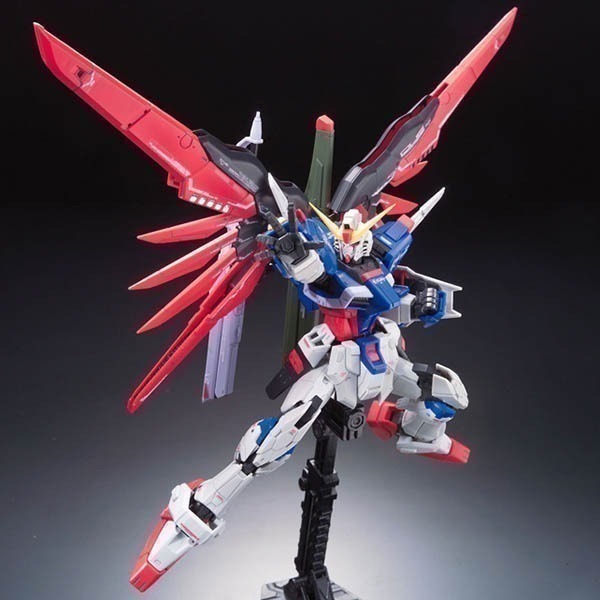 【自由模型】全新現貨 BANDAI 鋼彈 SEED RG 1/144 #11 命運鋼彈 DESTINY GUNDAM-細節圖4