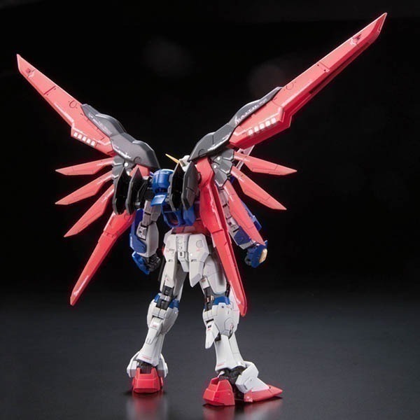 【自由模型】全新現貨 BANDAI 鋼彈 SEED RG 1/144 #11 命運鋼彈 DESTINY GUNDAM-細節圖5