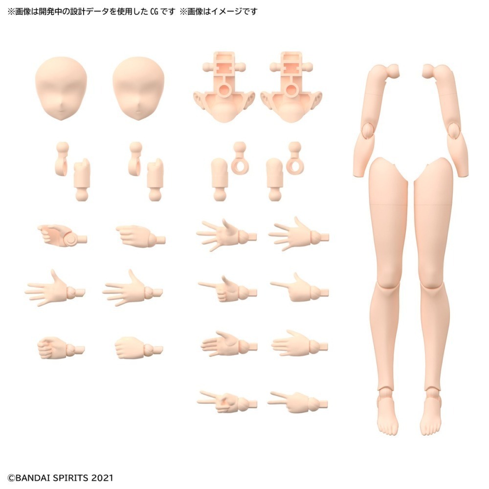 【自由模型】全新現貨 BANDAI 組裝模型 30MS 身體配件套組 手＆腳  顏色A-細節圖3